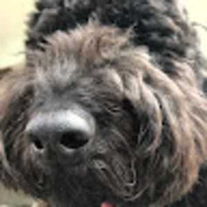 Meet your Posher, Kylie